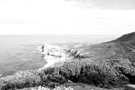 blur     in south africa coastline cape of good hope  and natural park reserveの写真素材