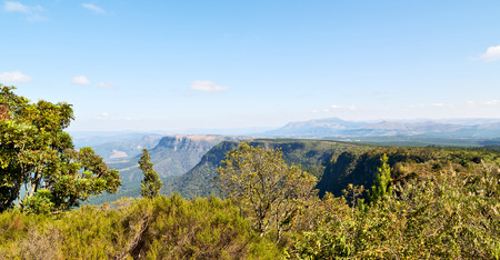 blur  in  south africa  blyde river canyon plant rock and pond water   