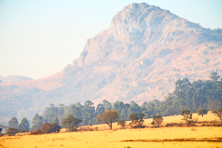 blur in swaziland   mlilwane wildlife  nature  reserve mountain and treeの写真素材