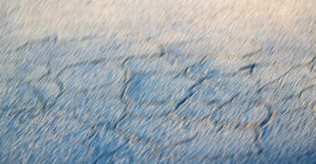 in  south africa  abstract broke asphalt  in the old steet and  lightの写真素材