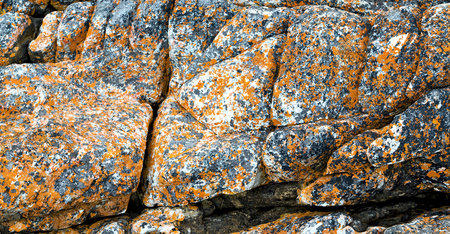 blur  in south africa close up of the coastline stone  abstract  texture backgroundの写真素材