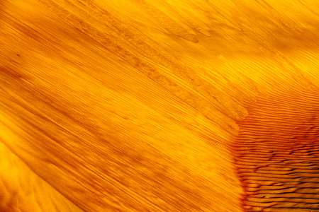 abstract texture line wave in oman the old desert  and the empty quarter の写真素材