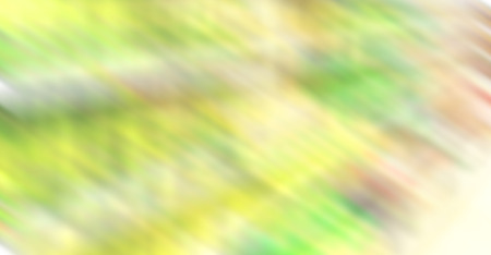 the abstract colors and blurred   background