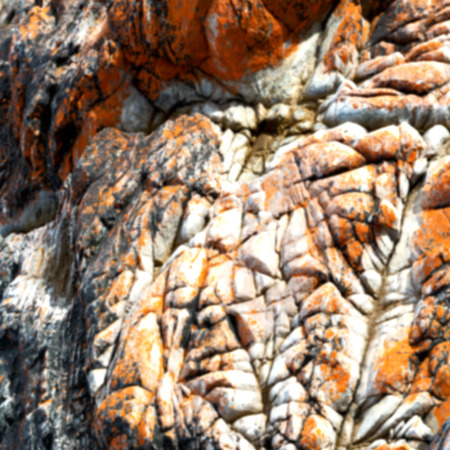 blur  in south africa close up of the coastline stone  abstract  texture backgroundの写真素材