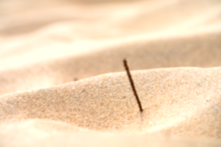 blur  in south africa close up of the coastline beach abstract sand texture backgroundの写真素材