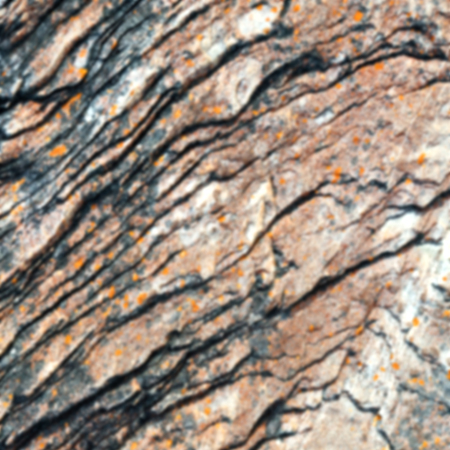 blur  in south africa close up of the coastline stone  abstract  texture background