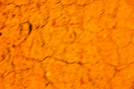 blur     in south africa  dirty broken ground like abstract background and nature