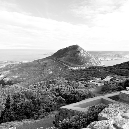 blur in south africa coastline cape of good hope  and natural park reserve