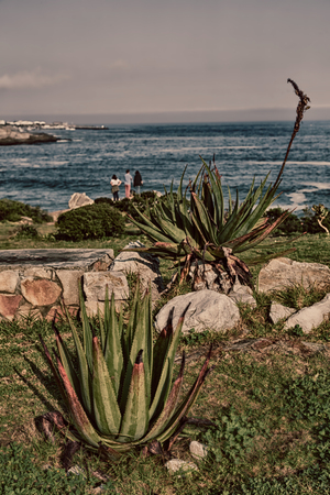  blur  in south africa      sky ocean      tsitsikamma reserve  nature and beach
の写真素材