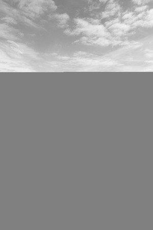 blur     in south africa coastline cape of good hope  and natural park reserveの写真素材