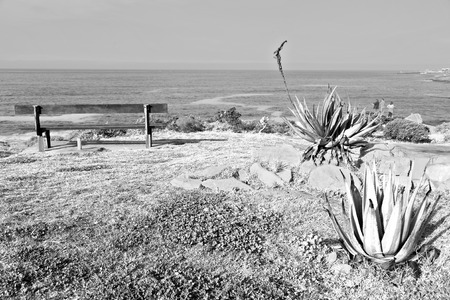  blur  in south africa      sky ocean      tsitsikamma reserve  nature and beachの写真素材
