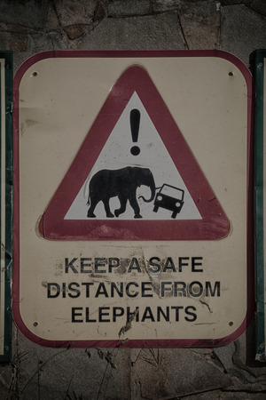 blur in south africa close up of the   sign like    texture backgroundの写真素材