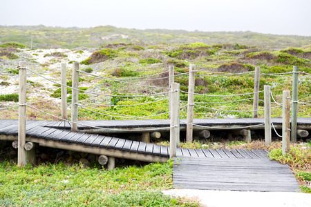 in south  africa beach walkway  near indian ocean flower  sky and rockの写真素材