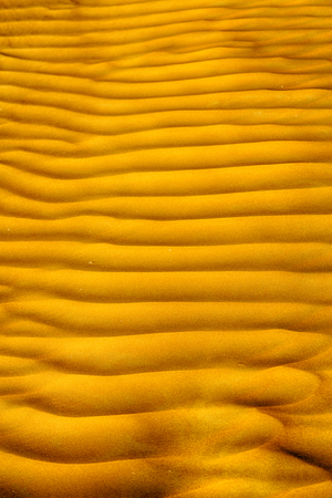 abstract texture line wave in oman the old desert  and the empty quarterの写真素材