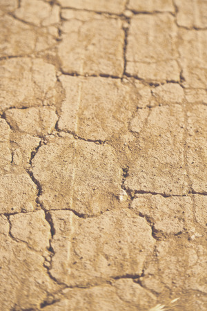 blur     in south africa  dirty broken ground like abstract background and natureの写真素材