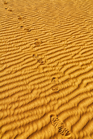 abstract texture line wave in oman the old desert  and the empty quarterの写真素材