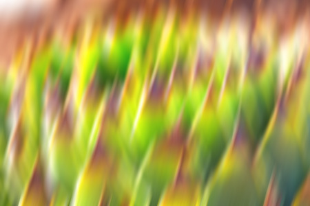 the abstract colors and blur   background textureの写真素材