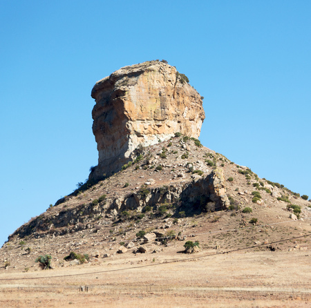 blur in south africa plant     land bush and tree near the   mountainの写真素材