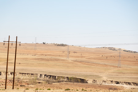 blur in south africa plant     land bush and tree near the   mountainの写真素材