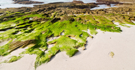 blur in south africa   sky ocean  de hoop reserve nature and rocksの写真素材