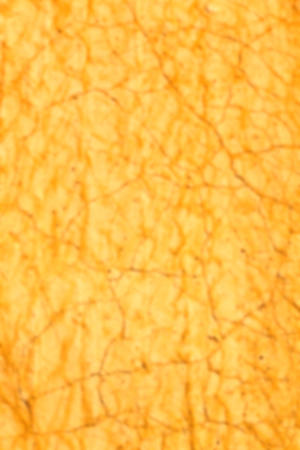 blur     in south africa  dirty broken ground like abstract background and nature