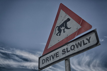 blur in south africa close up of the   sign  symbol  like    texture backgroundの写真素材