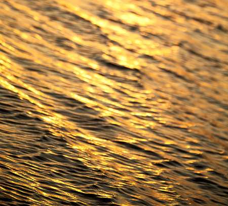 blur  in south africa sea indian ocean and abstract gold wave for sunsetの写真素材