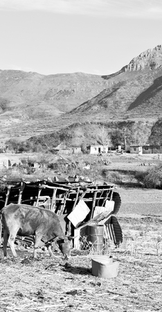 blur   in lesotho malealea street village near    mountain and skyの写真素材