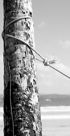 blur  in   philippines  a rope from an hammock near the ocean shore and cloudの写真素材