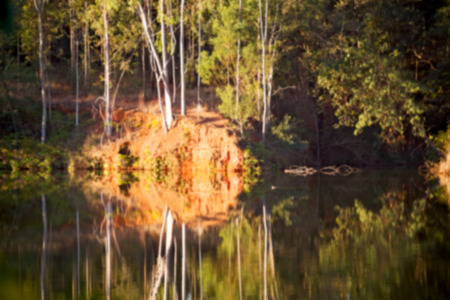 in lesotho mlilwane wildlife santuary the pound lake and  tree reflection in waterの写真素材