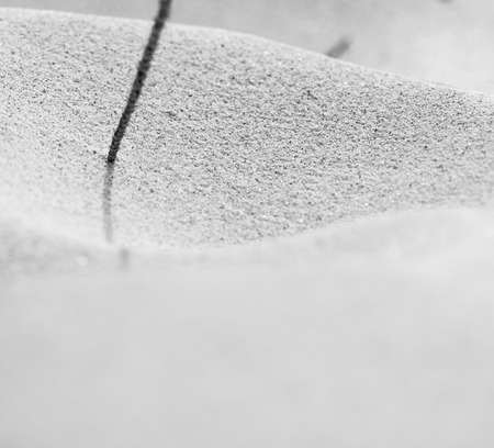 blur  in south africa close up of the coastline beach abstract sand texture backgroundの写真素材