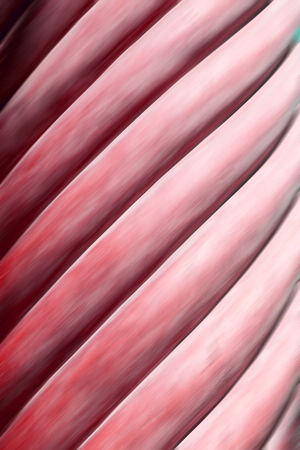 the abstract colors and blur   background textureの写真素材