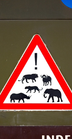 blur in south africa close up of the   sign like    texture backgroundの写真素材