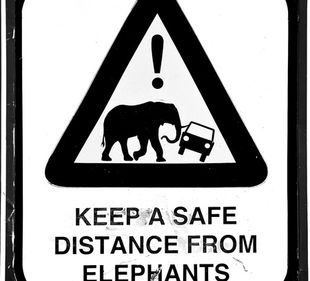 blur in south africa close up of the   sign like    texture backgroundの写真素材