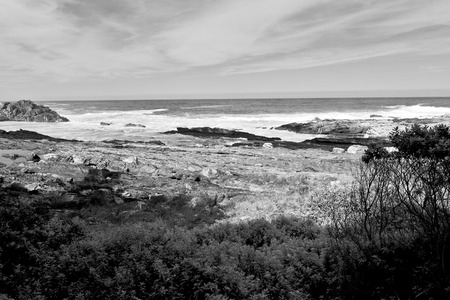 blur  in south africa   sky ocean   tsitsikamma reserve nature and rocks
