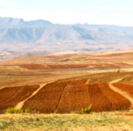 blur  in lesotho malealea street village near  mountain and coultivation fieldの写真素材