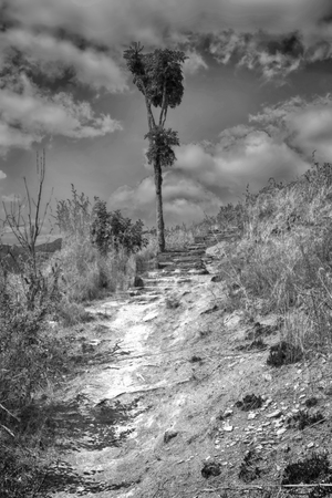 in south africa mountain land and the park natural reserveの写真素材