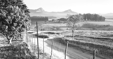blur in swaziland   mlilwane wildlife  nature  reserve mountain and treeの写真素材