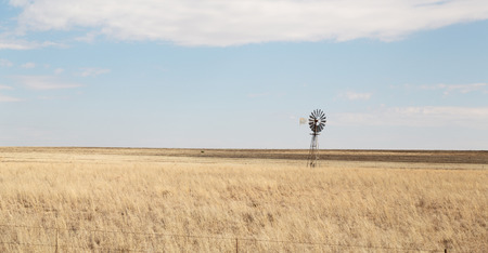 blur in south africa plant      land    and tree near the   bushの写真素材
