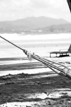 in  philippines  view from an hammock  near ocean beach and sky concept of relaxの写真素材