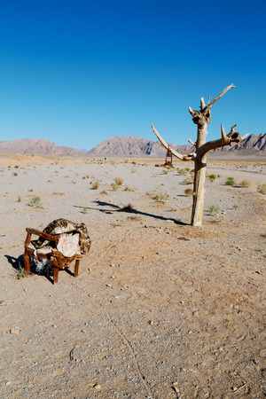 chair in iran blur old dead tree in the empty desert of persia lamp oil on branchの写真素材