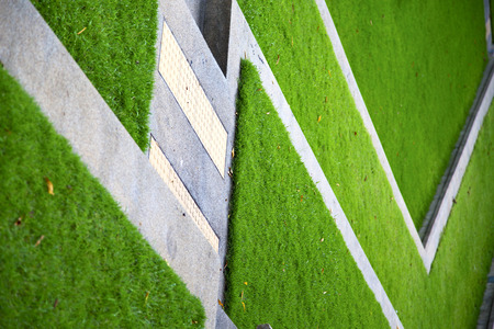 in thailand asia  abstract cross garden grass  the temple  bangkokの写真素材