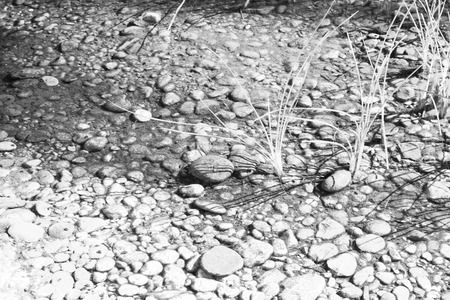 oman  old river and stone  flowing water near the sea