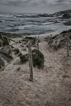 in south  africa beach walkway  near indian ocean flower  sky and rockの写真素材