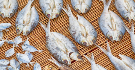 blur  in  philippines   lots of fish salted and dry preparation for the marketの写真素材