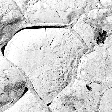 old desert and the abstract cracked sand texture  in oman    rub  al khali