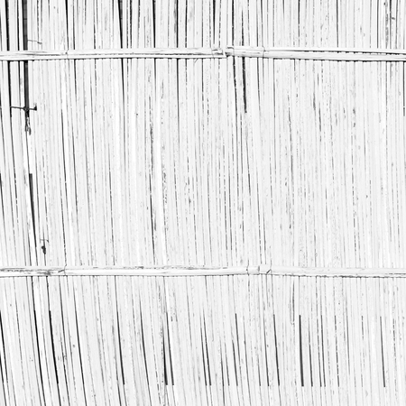 abstract   texture of a bamboo wall background in omanの写真素材
