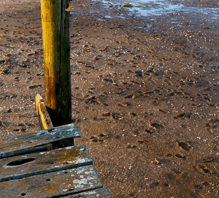 blur in south africa   sky ocean isimagaliso nature  reserve and pierの写真素材
