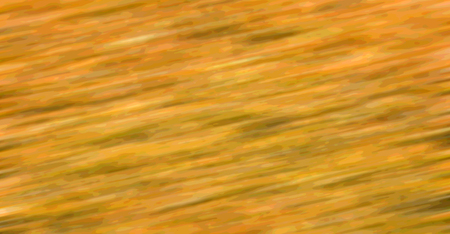 the abstract colors and blurred   background
の写真素材