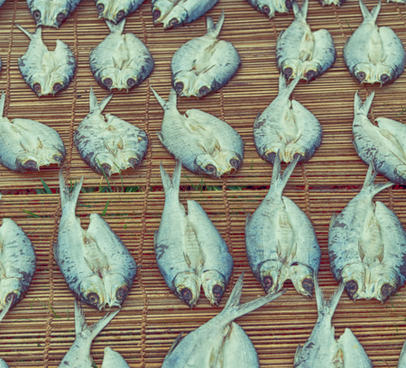 blur  in  philippines   lots of fish salted and dry preparation for the marketの写真素材
